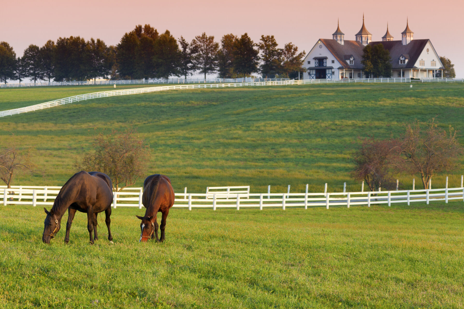 Scenic countryside with horses at sunset