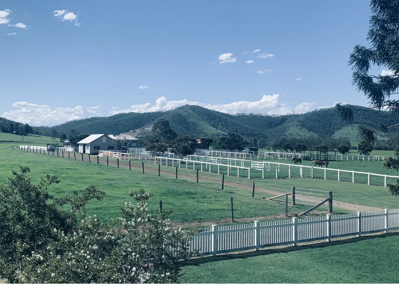 Green fields and white fences
