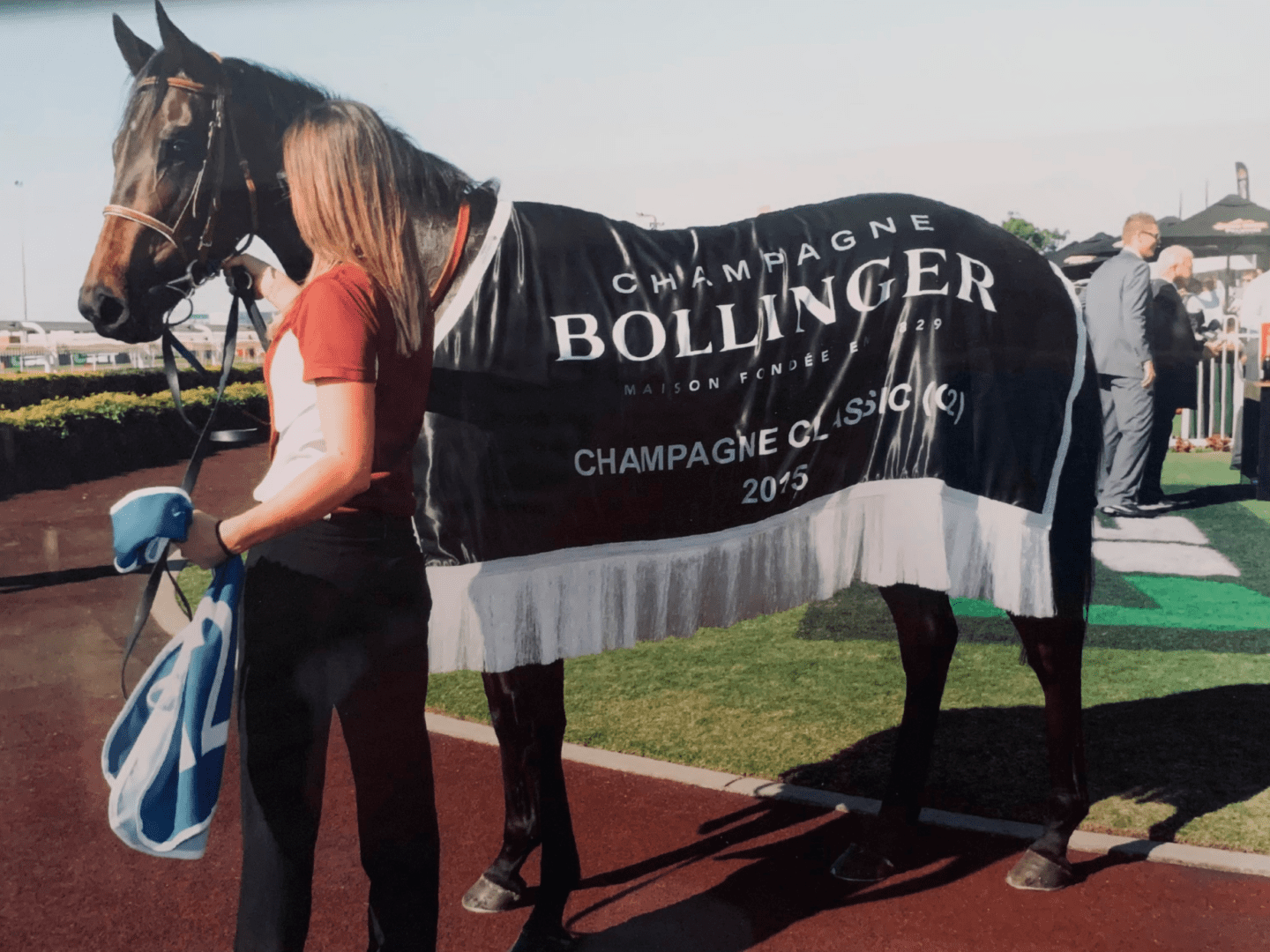 A horse draped in a Bollinger Champagne blanket at a racecourse.